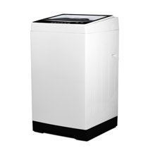 Wayfair store portable washer